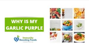 Read more about the article Why Is My Garlic Purple: All You Need To Know