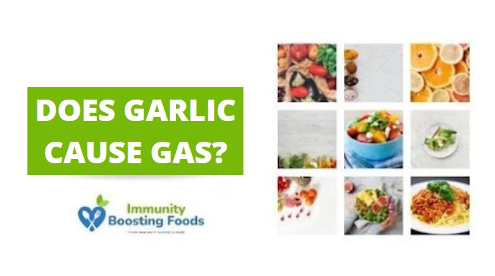 Read more about the article Does Garlic Cause Gas? A Complete Guide
