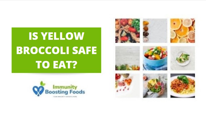 Read more about the article Is Yellow Broccoli Safe To Eat? All You Need To Know