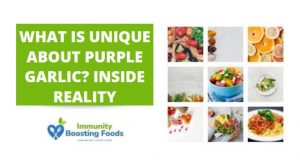 Read more about the article What Is Unique About Purple Garlic? Inside Reality