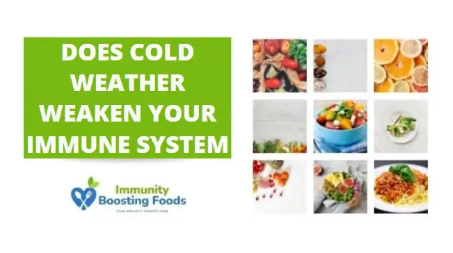 Read more about the article Does Cold Weather Weaken Your Immune System