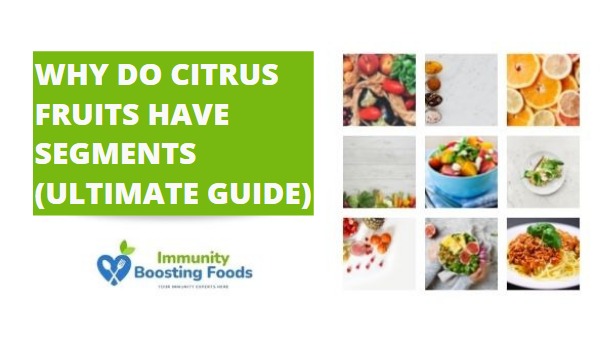 You are currently viewing 5 Reasons Why Do Citrus Fruits Have Segments?