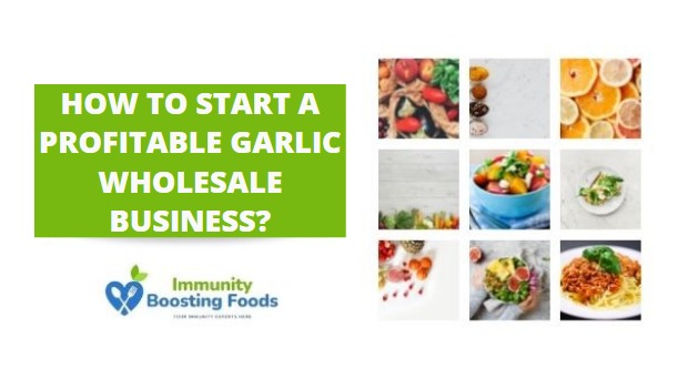 Read more about the article How to Start A Profitable Garlic Wholesale Business?
