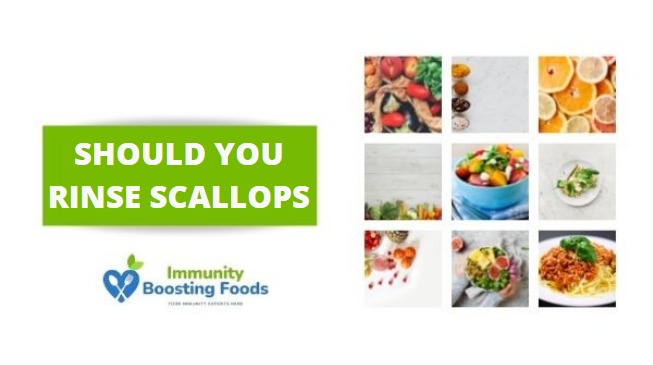 Read more about the article Should you rinse scallops (Things you should know)