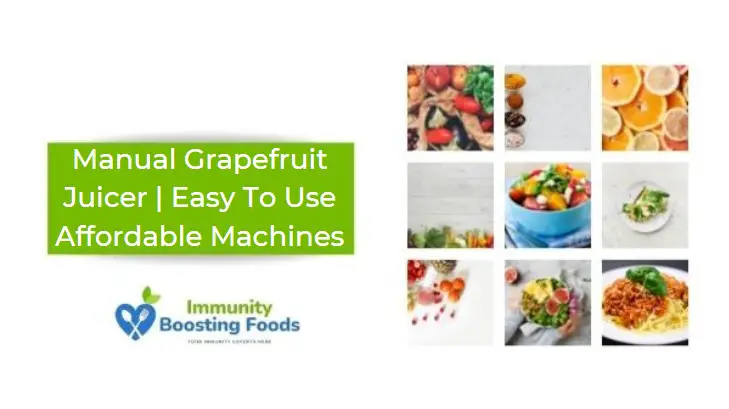 Manual Grapefruit Juicer | Easy To Use Affordable Machines
