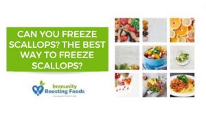 Read more about the article Can You Freeze Scallops? The Best Way To Freeze Scallops