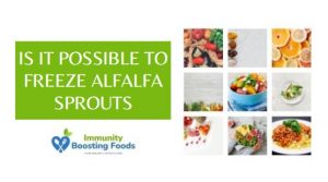 Read more about the article Is it possible to freeze Alfalfa Sprouts? 4 Steps Guide