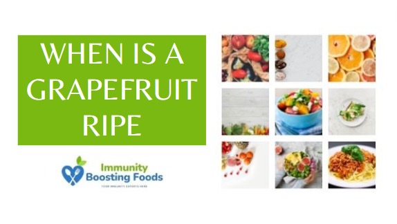 Read more about the article When is a grapefruit ripe? A complete guide