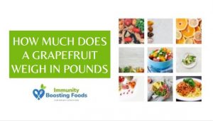 Read more about the article How much does a grapefruit weigh in pounds?