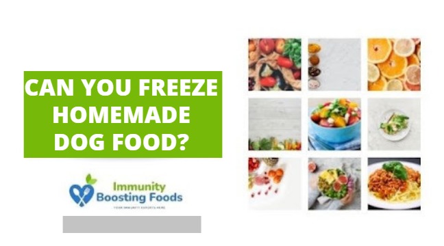Can You Freeze Homemade Dog Food?