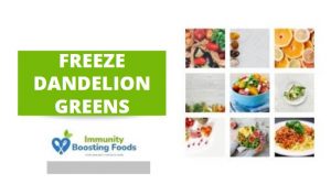 Read more about the article Can You Freeze Dandelion Greens?