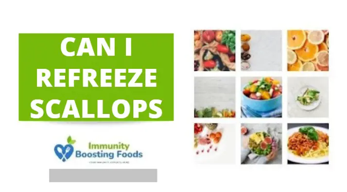 Read more about the article Can I Refreeze Scallops? Yes, But…