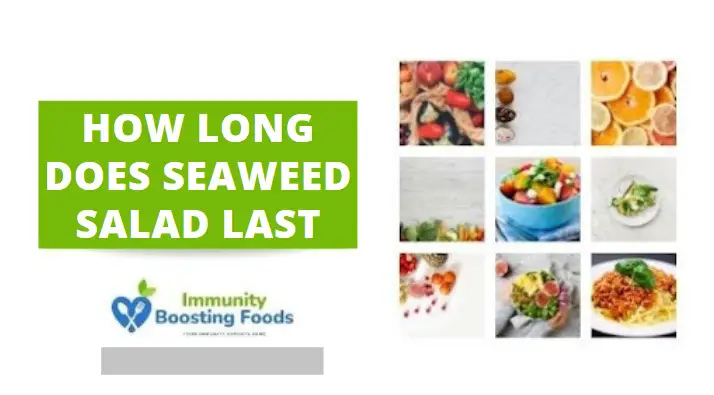 You are currently viewing How Long Does Seaweed Salad Last?