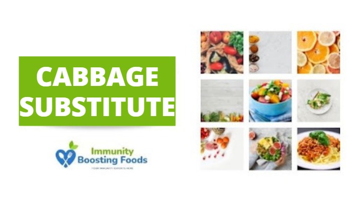 Cabbage Substitute