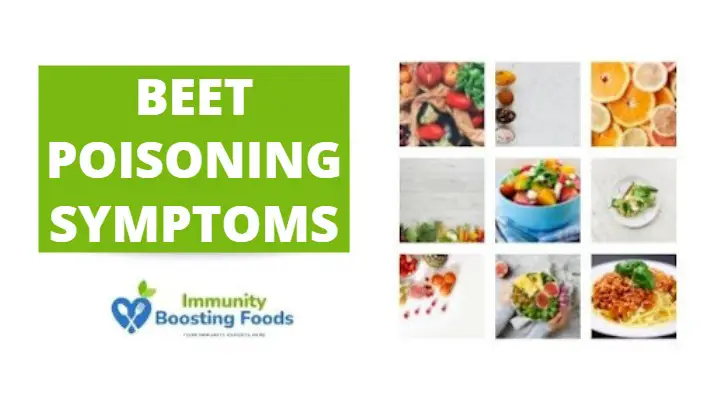 You are currently viewing 12 Beet Poisoning Symptoms: Decide Is it Real!!