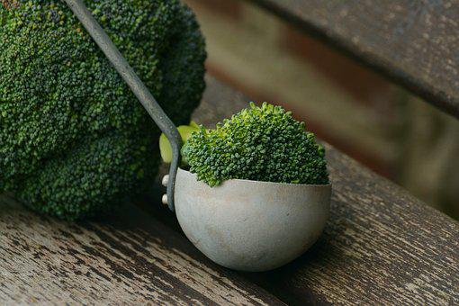 White Broccoli Name: A Complete Comparison