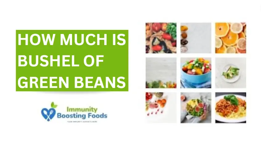 Read more about the article How Much Is Bushel Of Green Beans? [2023]