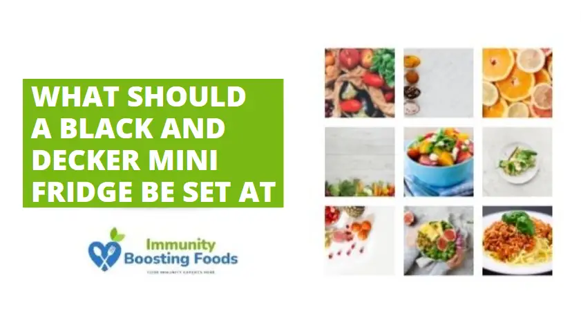what should a black and decker mini fridge be set at