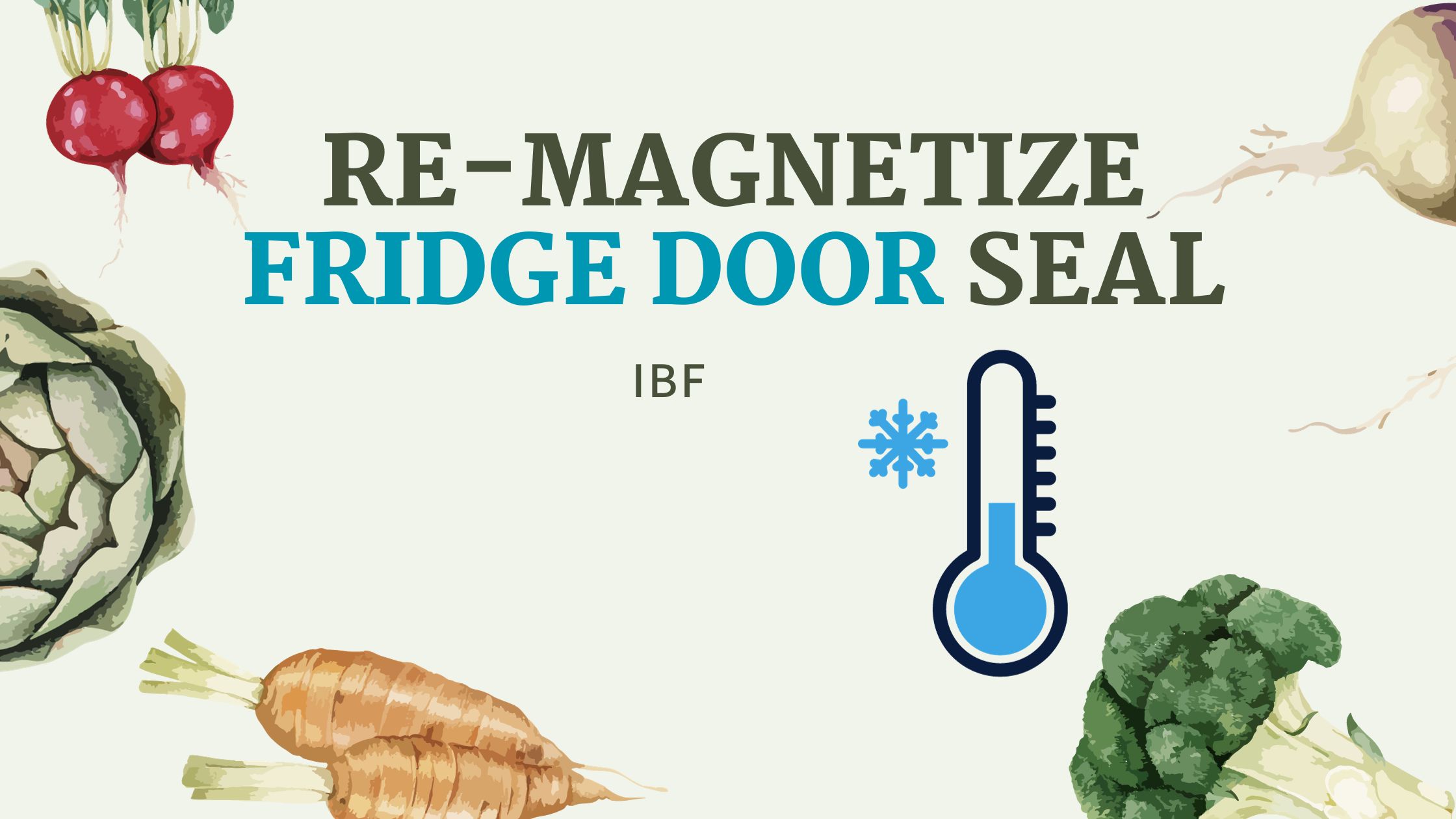 Read more about the article Re-magnetize Fridge Door Seal: 5 Step Easy Guide