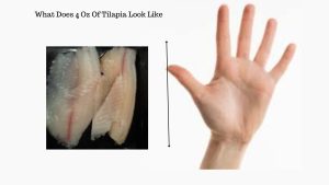 Read more about the article What Does 4 Oz Of Tilapia Look Like? [With Pictures]