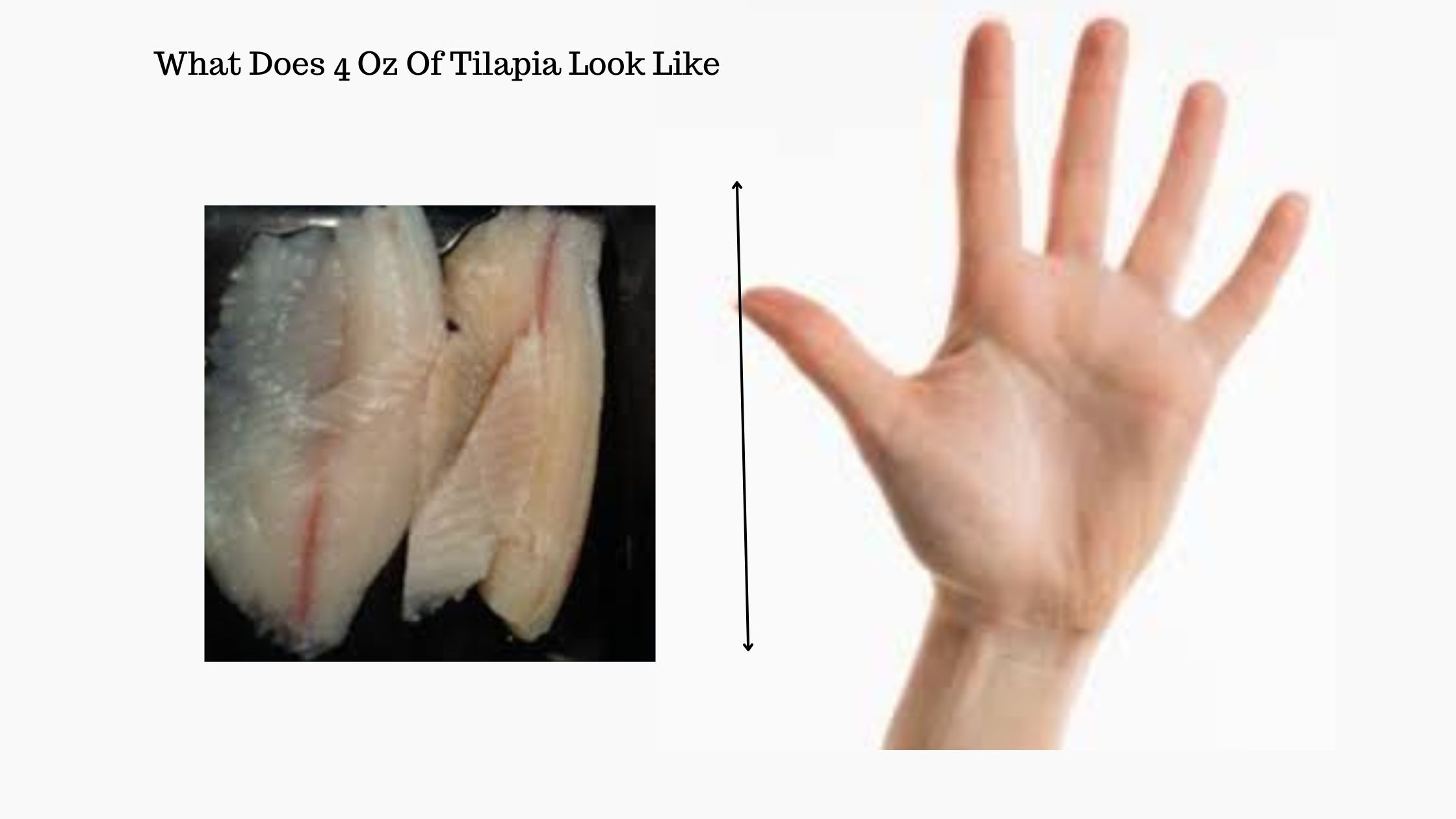 You are currently viewing What Does 4 Oz Of Tilapia Look Like? [With Pictures]